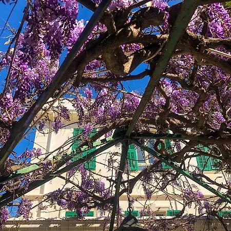 La Brise ホテル 3*